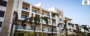 Ace palm floors